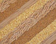 Immagine 2 di VARIETA' DI FARINE DI ALTA QUALITA'