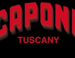 Immagine 3 di CHITARRE ALL'UOVO