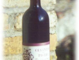 Immagine 1 di CESANESE DEL PIGLIO D.O.C. CRU CASAL CERVINO