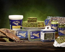 Immagine 1 di Pistacchi di Bronte D.O.P.