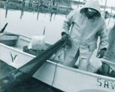 Immagine 1 di La Pesca nel Trasimeno