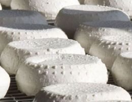 Immagine 5 di ROBIOLA DI ROCCAVERANO D.O.P. CASEIFICIO BIO AGRILANGA