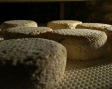 Immagine 1 di VARIETA' DI FORMAGGI A LATTE CRUDO VACCINO