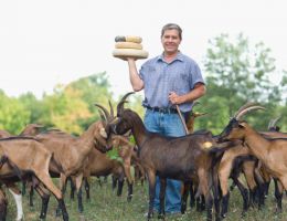 Immagine 1 di VARIETA' DI FORMAGGI DI CAPRA