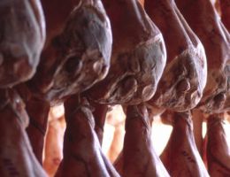 Immagine 5 di PROSCIUTTO CRUDO DI PARMA D.O.P. GRAN TANARA