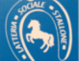 Immagine 2 di GRANA PADANO D.O.P. LATTERIA STALLONE