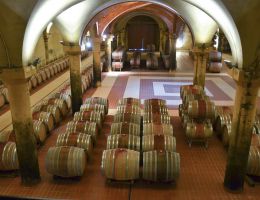 Immagine 3 di CHIANTI CLASSICO GRAN SELEZIONE D.O.C.G. CELLOLE