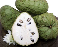 Immagine 1 di L' Anona tropicale