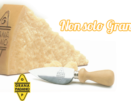 Immagine 2 di GRANA PADANO D.O.P.
