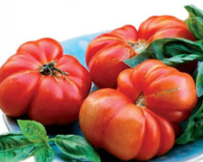 Immagine 1 di Pomodori  di Belmonte