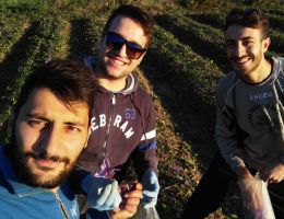 Immagine 1 di Zafferano Puro in Polvere di Motta San Giovanni