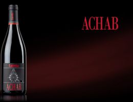 Immagine 3 di COLLI PIACENTINI PINOT NETO D.O.C. ACHAB LURETTA VINI