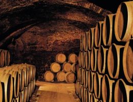 Immagine 5 di COLLI PIACENTINI PINOT NETO D.O.C. ACHAB LURETTA VINI