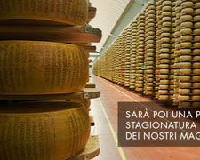 Immagine 1 di GRANA PADANO D.O.P. 20 MESI RISERVA
