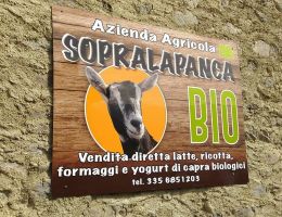 Immagine 1 di FORMAGGIO CAPRINO A CROSTA FIORITA CASIFICIO SOPRAPAPANCA