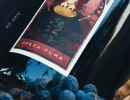 Immagine 1 di LAMBRUSCO GRASPAROSSA DI CASTELVETRO D.O.P. OPERA PURA