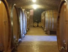 Immagine 2 di MONTECUCCO SANGIOVESE D.O.C.G. RISERVA LICURGO