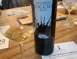 Immagine 2 di CAMPANIA PALLAGRELLO I.G.T.  RICCIO BIANCO