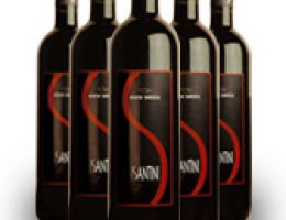 Immagine 1 di BEATO ENRICO SANGIOVESE SUPERIORE DI ROMAGNA D.O.C.