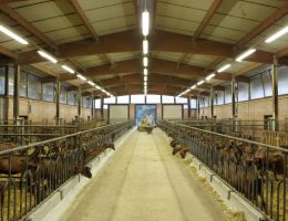 Immagine 2 di FORMAGELLA DI CAPRA IN FOGLIE DI CASTAGNO CASEIFICIO BETTINA