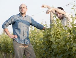 Immagine 2 di REDOLA BIANCO D.O.C MAREMMA TOSCANA