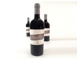 Immagine 1 di COLLI DI SALERNO AGLIANICO I.G.T. ASCOLTO