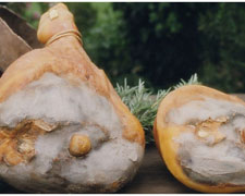 Immagine 2 di PROSCIUTTO CRUDO DI VENTICANO IRPINO P.A.T.