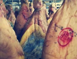 Immagine 4 di PROSCIUTTO CRUDO DI VENTICANO IRPINO P.A.T.