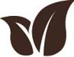 Immagine 2 di OLIO EXTRAVERGINE DI OLIVA BIO BLEND DI  QUALITA' SUPERIORE TANCREDI