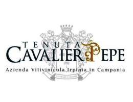 Immagine 1 di FIANO DI AVELLINO D.O.C.G. REFIANO