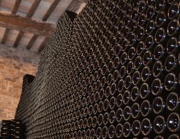 Immagine 3 di BIANCO MALVASIA DI CANDIA AROMATICA ANTICO METODO CLASSICO VEJ  PODERE PRADAROLO