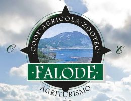 Immagine 2 di MANTECATO DEL MATESE