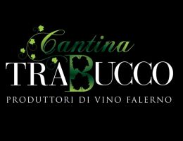 Immagine 2 di FALERNO DEL MASSICO ROSSO D.O.P.  RAPICANO