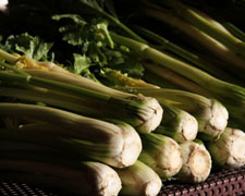 Immagine 1 di SEDANO NERO DI TREVI