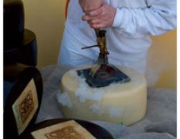 Immagine 4 di ORO NERO OroNero®