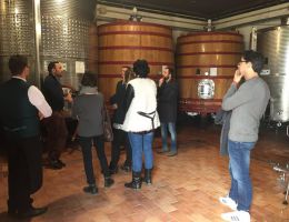 Immagine 5 di BRUT ROSE' METODO CLASSICO SANGIOVESE MILLESIMATO