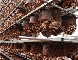 Immagine 2 di PANETTONE TRE IMPASTI IGINIO MASSARI