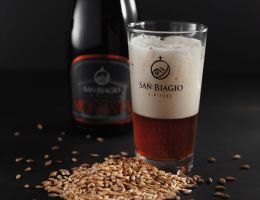 Immagine 3 di MONASTA STILE STRONG ALE