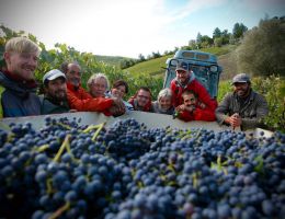 Immagine 3 di CHIANTI CLASSICO D.O.C.G.RISERVA