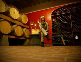 Immagine 4 di CHIANTI CLASSICO D.O.C.G.RISERVA