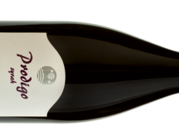 Immagine 1 di LAZIO SYRAH I.G.P. PRODIGO