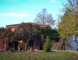 Immagine 2 di LAZIO SYRAH I.G.P. PRODIGO