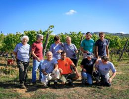 Immagine 4 di BABONE I.G.T. MAREMMA TOSCANA ROSSO