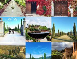 Immagine 4 di IL BORRO I.G.T. ROSSO TOSCANA