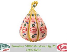 Immagine 1 di PROVOLONE VALPADANA D.O.P. QUALITA' CA.BRE CASEARIA