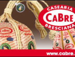 Immagine 3 di PROVOLONE VALPADANA D.O.P. QUALITA' CA.BRE CASEARIA