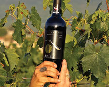 Immagine 1 di CENERE MONTECUCCO SANGIOVESE RISERVA D.O.C.G.