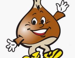 Immagine 2 di CASTAGNA DI MONTELLA I.G.P