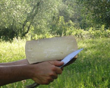 Immagine 1 di PECORINO STAGIONATO A LATTE CRUDO