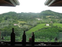 Immagine 3 di CODA DI VOLPE D.O.C.